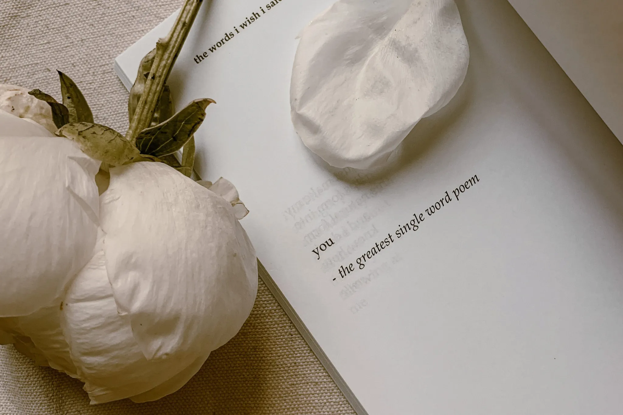 Fuzp1qxZBUetuiz27AvkxVEunm_j