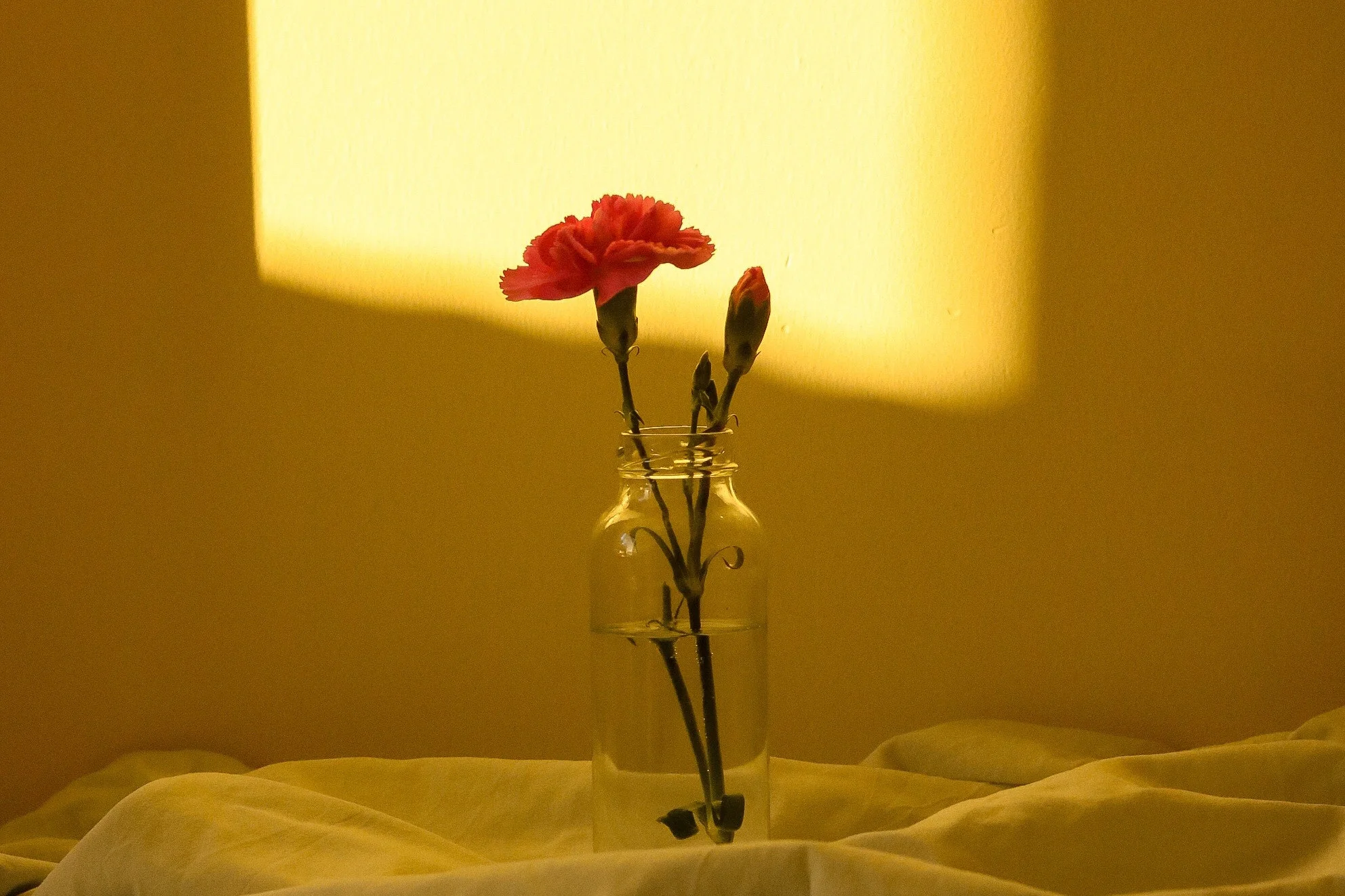 Fgy805gYr87jHx5mKr5zeJetC-j3