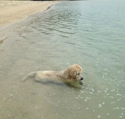 f970ee324d9cf8e6dc6cc1b5ae5f4be8