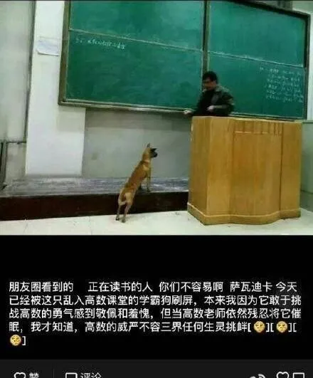 4a61b6b3dc2e804df1f7d012b1081612