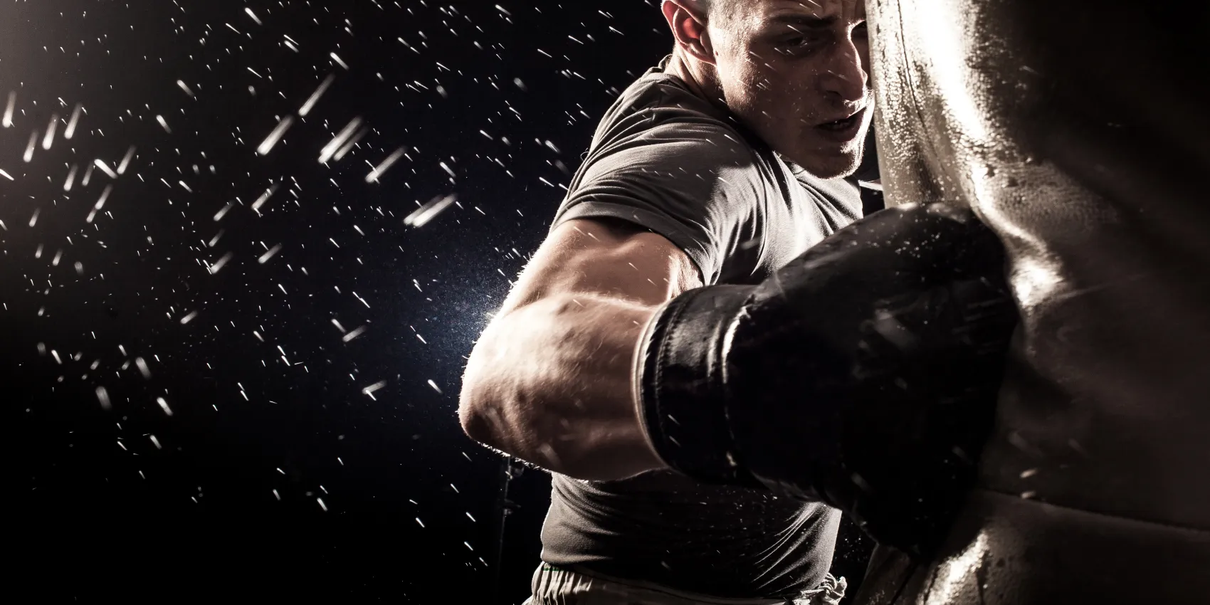 fd305fb5eb58bd36248bcfd6cc11354d