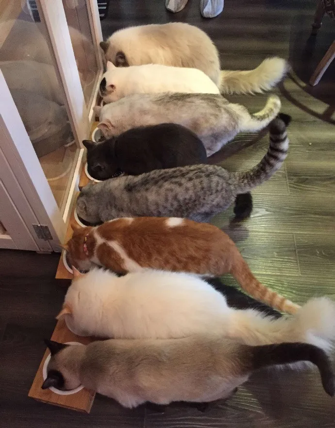 1521514160006v119zgy1fphzh6ksjjj31kw23vand