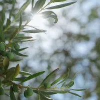 Fh5IydDnE_IB2wEpy8DvYhDtdmBQ