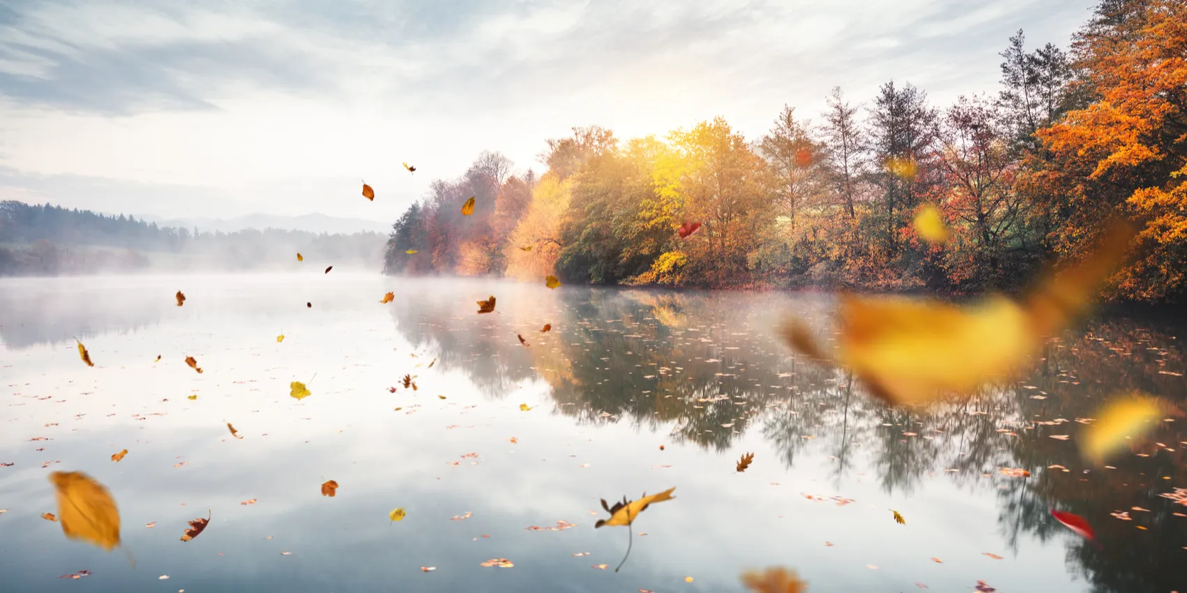 4535cad25c0ea9ffac32de4a40bede20