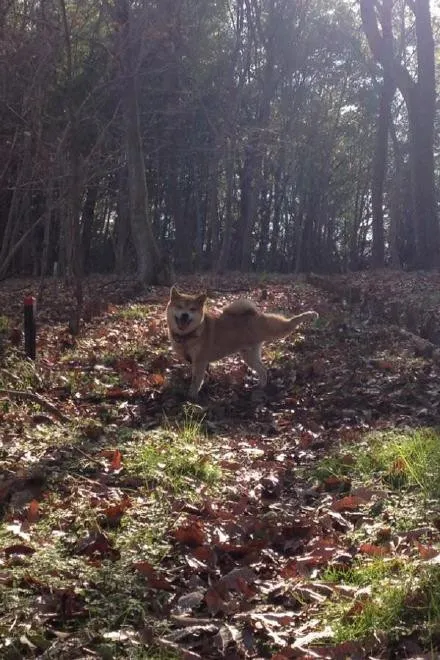 2bd2bb88cd164db5c3671473d3684531