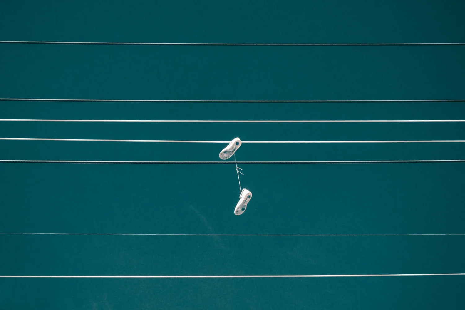 FipV3e9pHVyY_X8xP8b_NI05vd6I