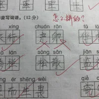 15291228504
