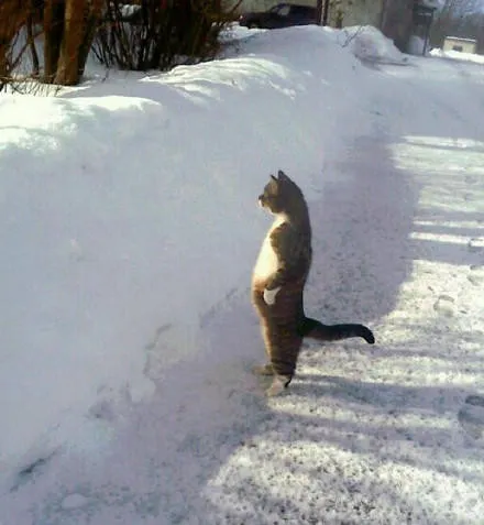 fc032bed84670e7e5ddc13ebbcb3ef34