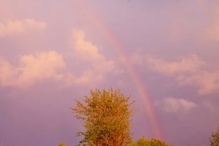 FgH3QdMbOaVdYjsiHV8BhsQkhFR2