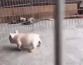 7cefdfa5ly1fi5cs6cf3tg207s065e81