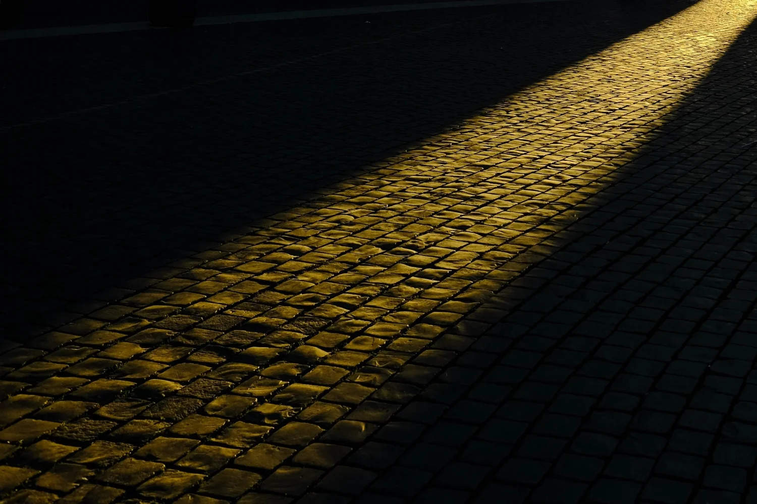 Fo21-9gjr6E0u8sJJmIjcB9kDz-d