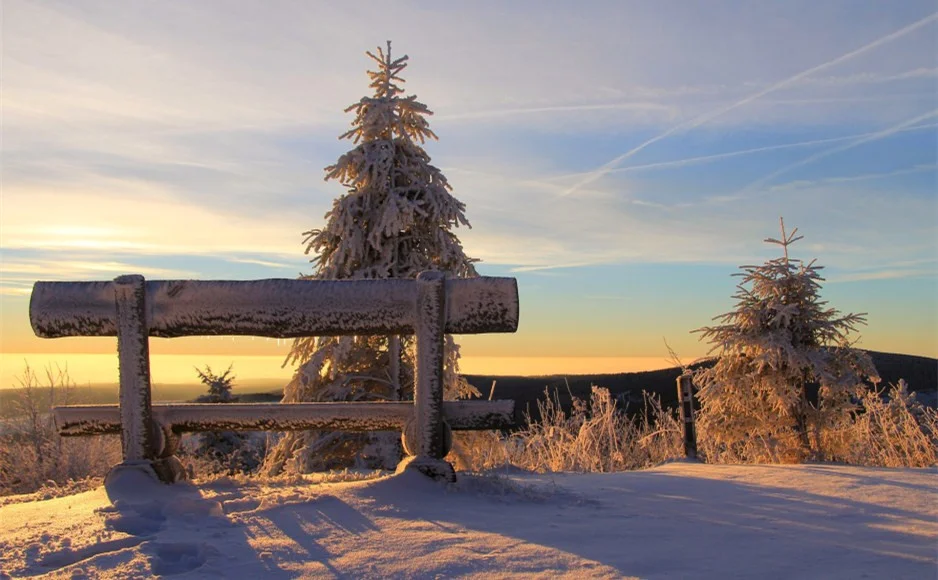 dc1b49d2d9359741bb49f0a936ef6ec7