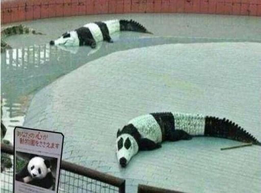 23825d870f9c85dc4565ab18751452bb