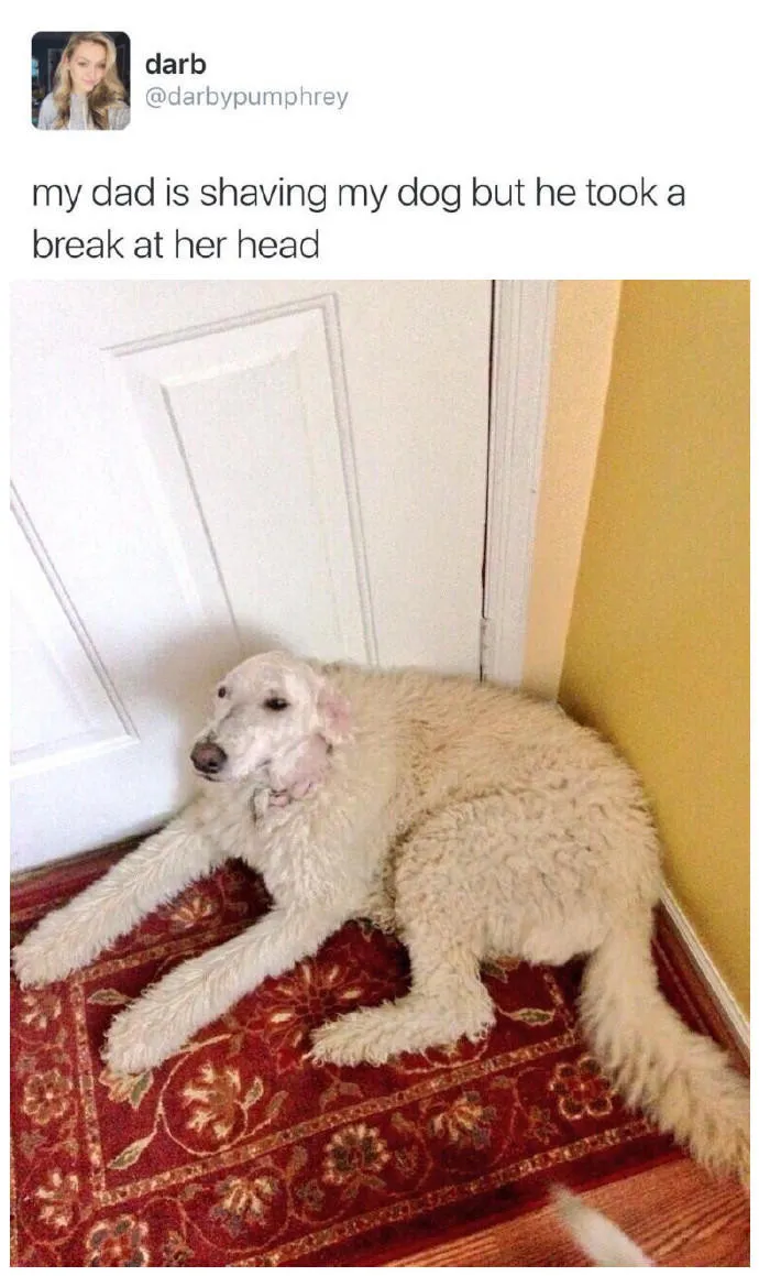 bcf5d2e6696a9566a3ffdfc5239345f0