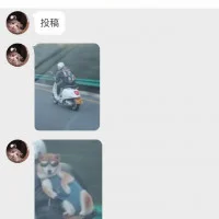88354085ae778fc15763096e69f9e0d9