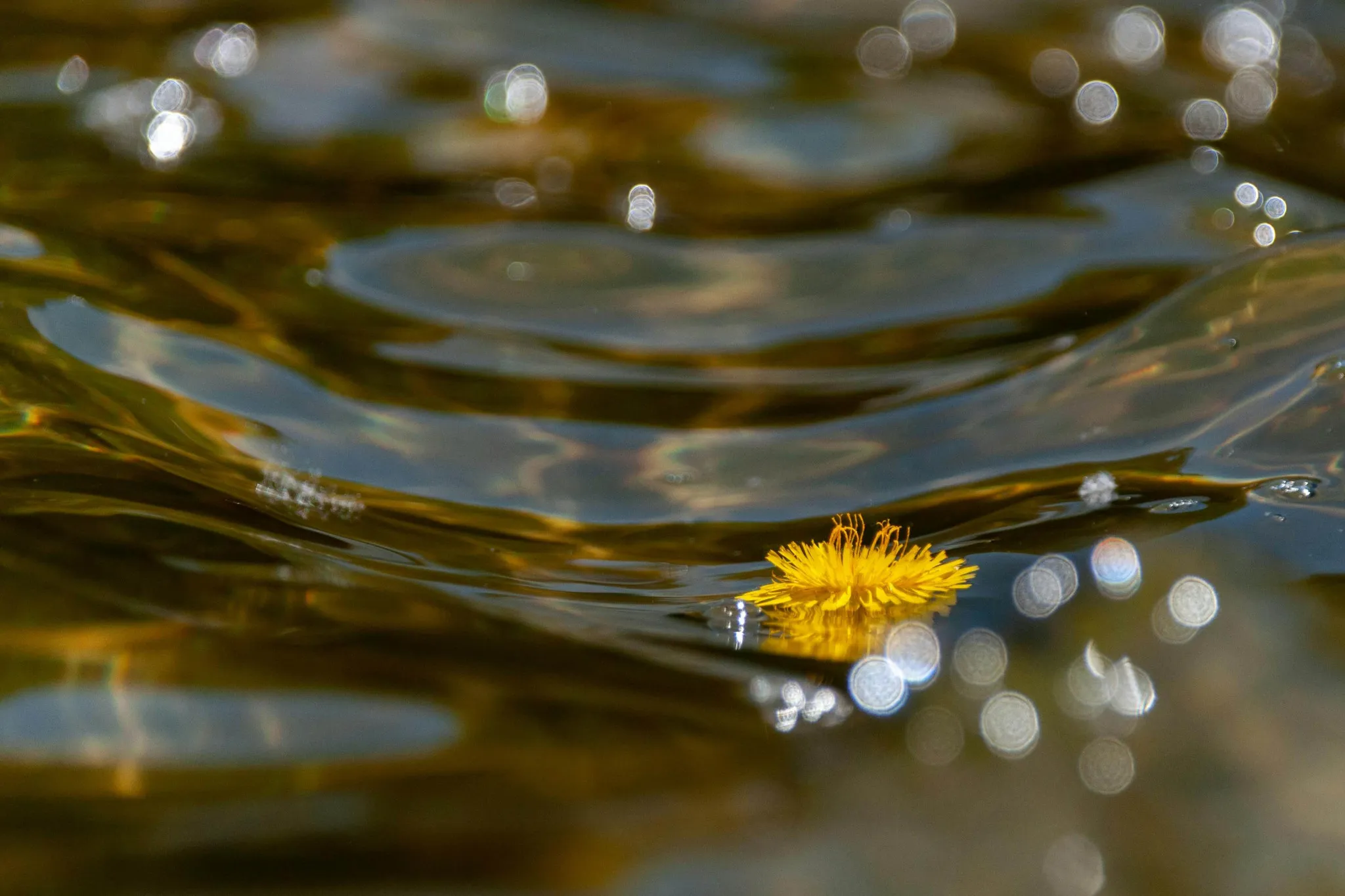 FltWc2CyKya0_OMJbGPRq5fs_tud