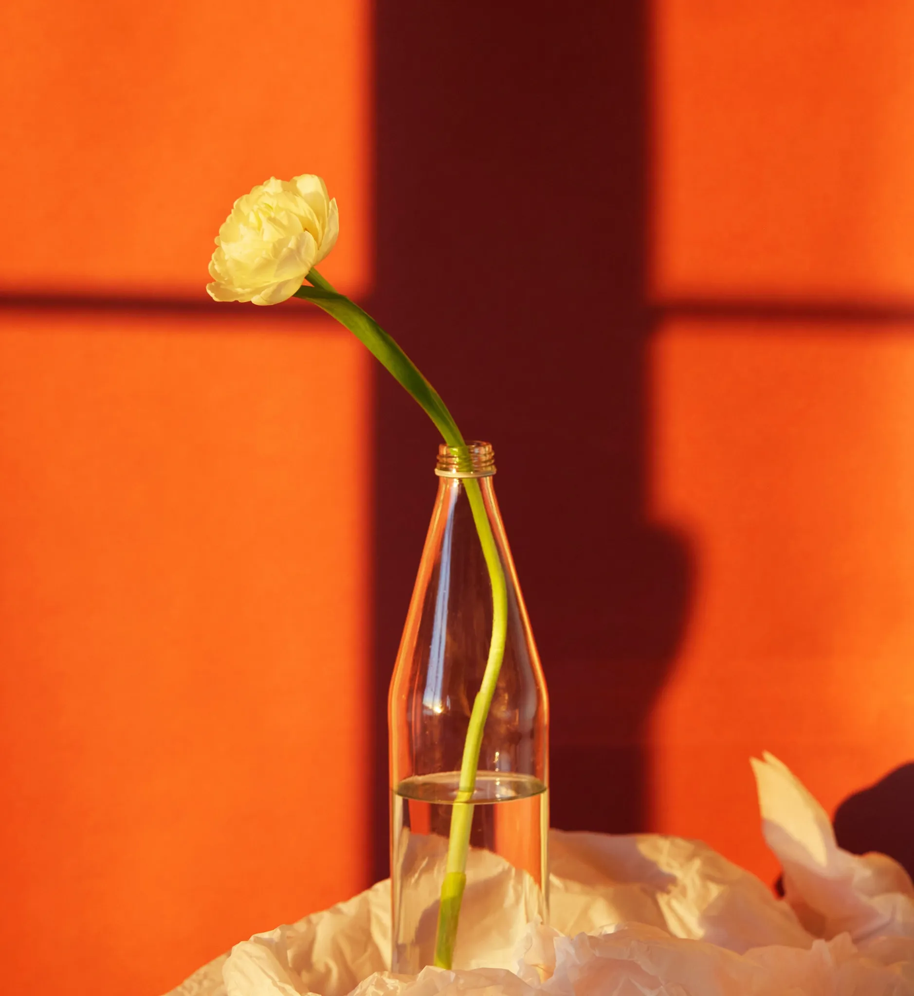 Fjh5Db47RLti8jS7vqERS6Ox5mR7