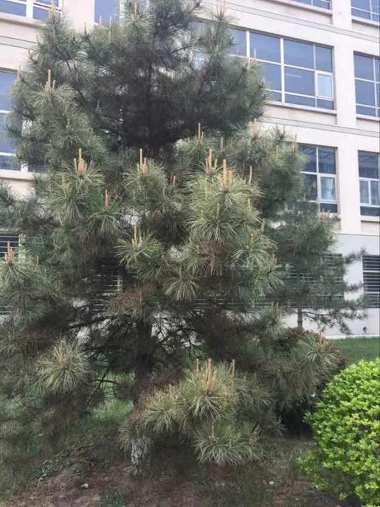 fad2f89b8b2e87b141cd89631f89d271