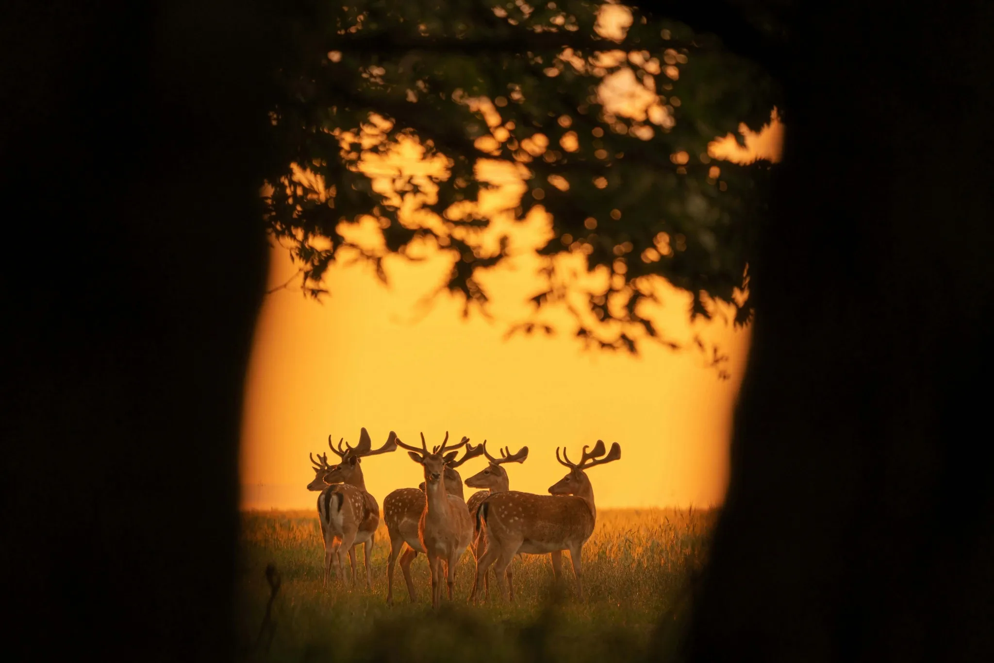 FtJxz9QSCrrseHlVH4I2AV13mpS5