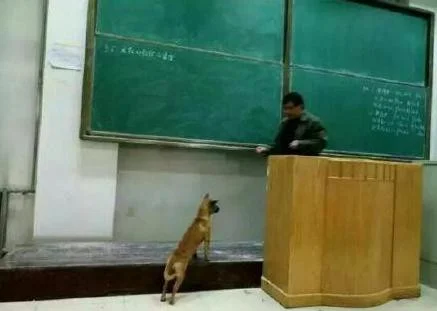 0d4b45187abd0e7348aa77cf86bff09f