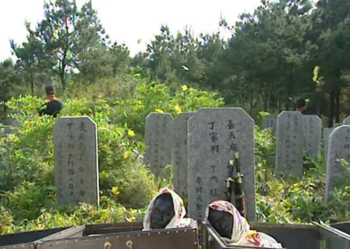 86791900d43389f335e7e5c4da3146c5