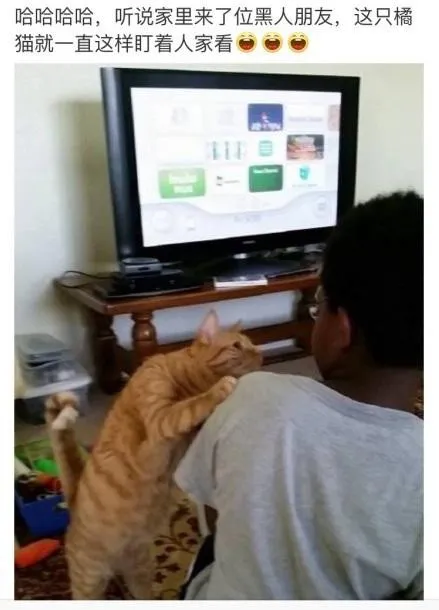 41686e438dbdaad2cff1c4374e8d35ee