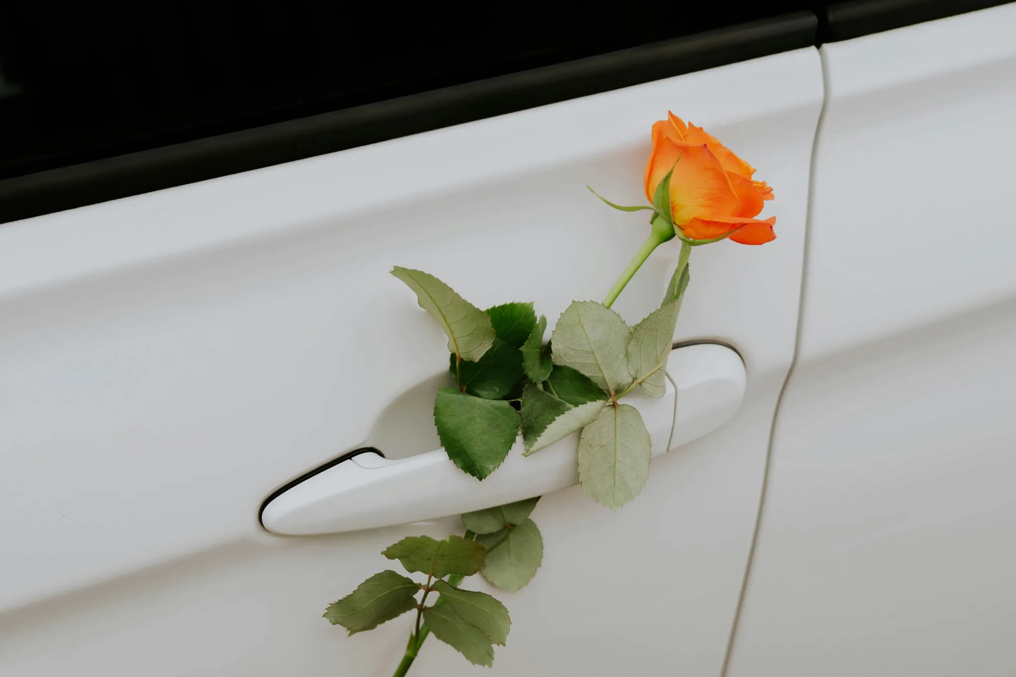 Fqigq8M8mS6RiMuy01xKARcQMZwI