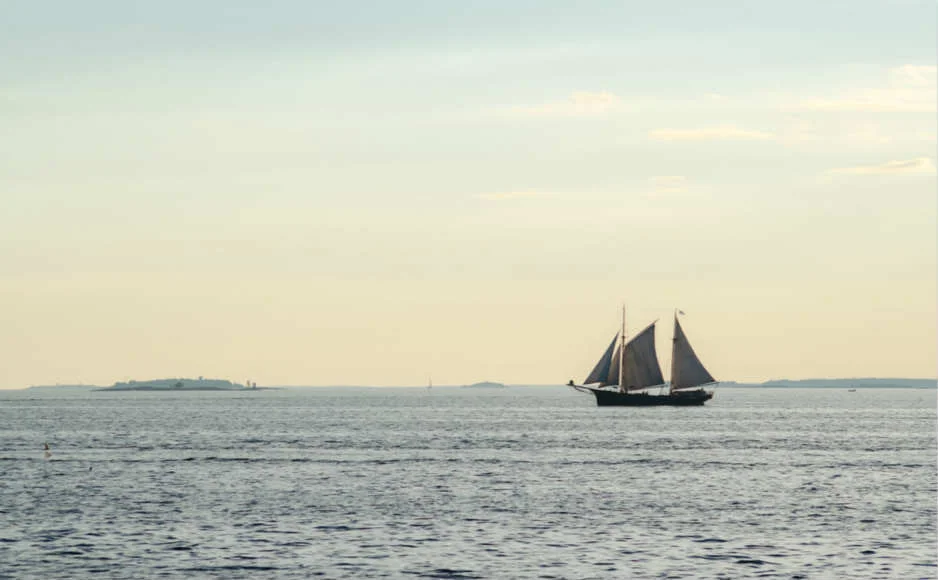 4c8ea38265f5eaac6f49936fd14d29f6