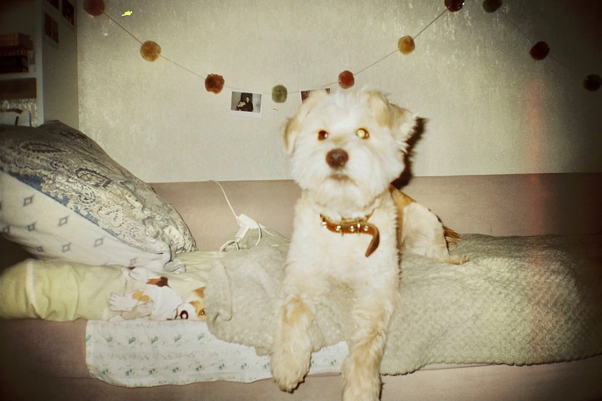 Fow0vnsDxvrjQN85cYZCA1dYIaCE