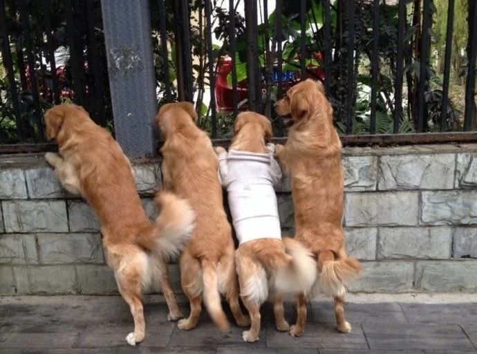 9407e32a58ad16131e25a7a435b6dab1