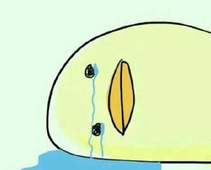 21aed531636ba412fa60f10b014072f0