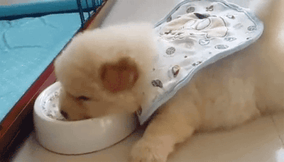 6aaeb4b8gw1f45c89igijg20b406dkjl