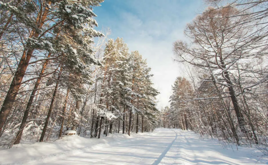 f2f54a47b6952f7c06f21107cbc79386