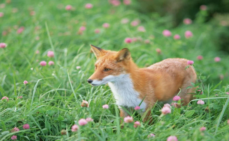 2d6c2f0270c4a0d2950a401f57b4840d