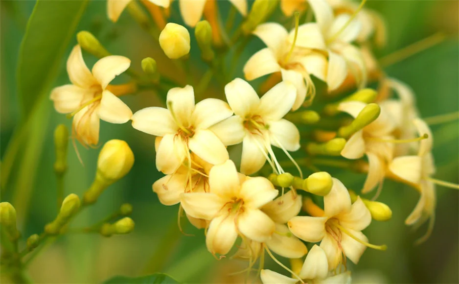 5ef2de07881f42bf9f36f650953ec04a