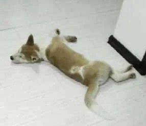 af4870c1e4efdbc07673b5998285635b