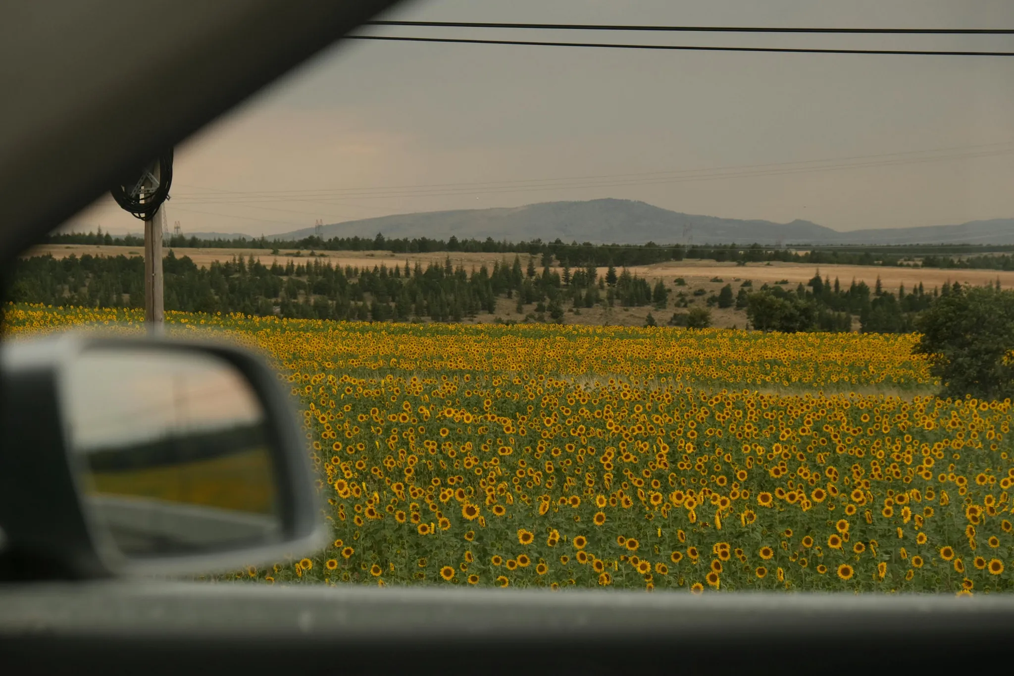 FpaOrjgUAGqCssUg17m7sIOr9fg_