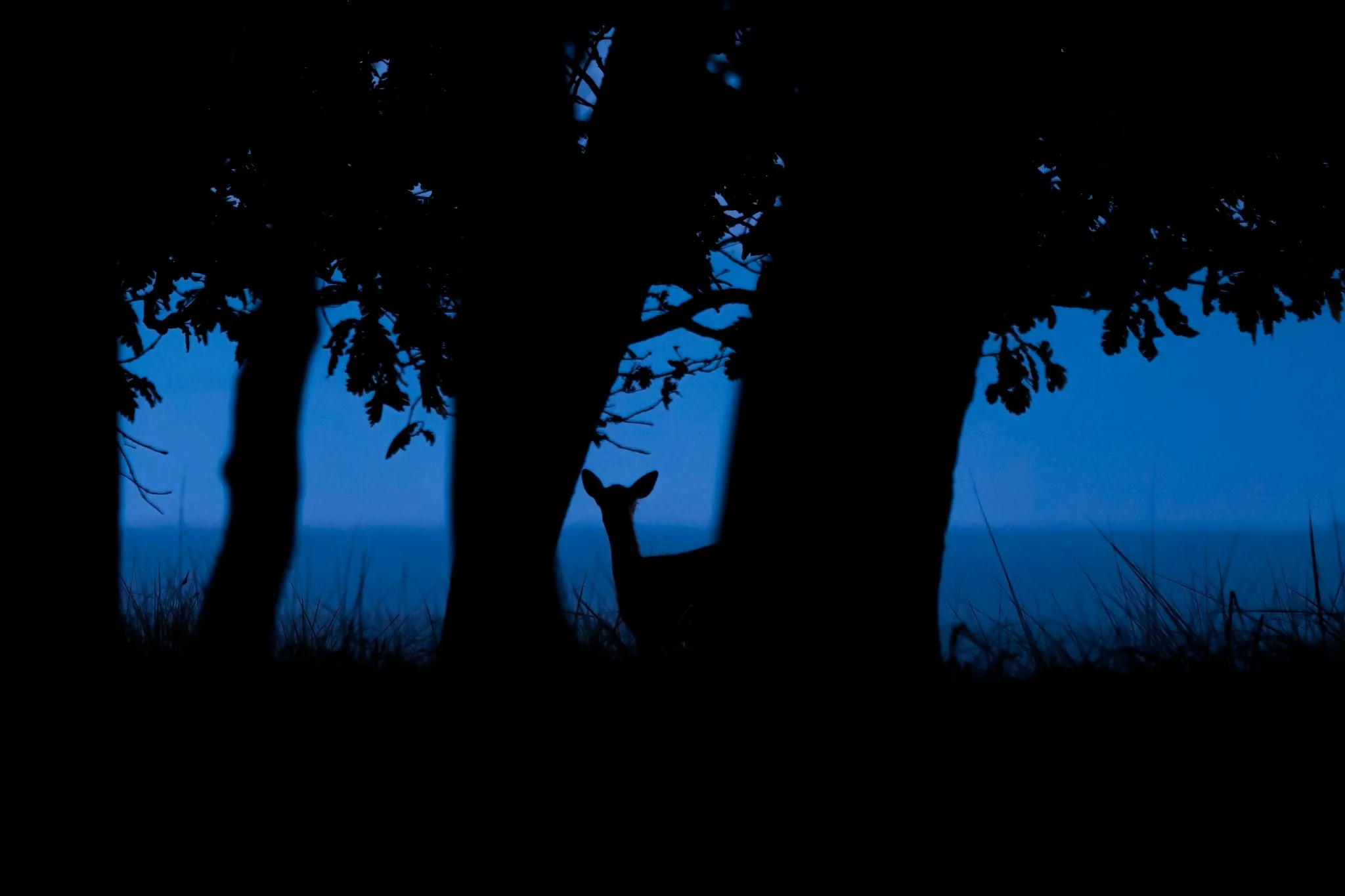 FiiGfv2NdXopN42jFV8tWzeHoApK