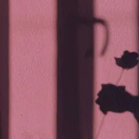 FtqN3IMshiNMCxTMInrjPrZoKV09