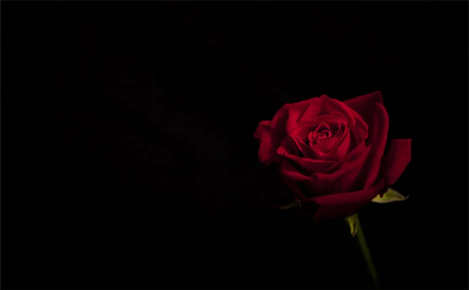 f477e4f959ad22efc5d25574f16fdf3c