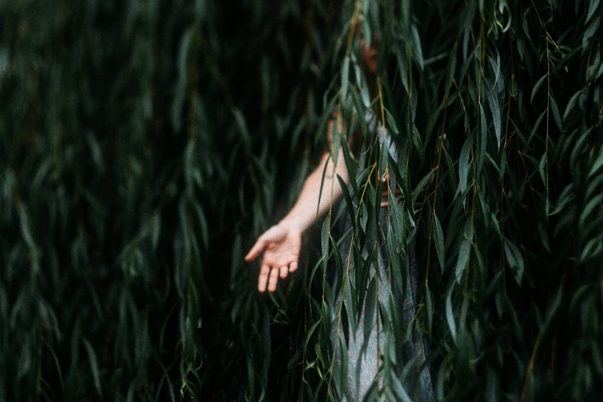 FkMvvBrpuD0Iy7iorurhQgMR0o0K