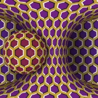 15427807965_副本