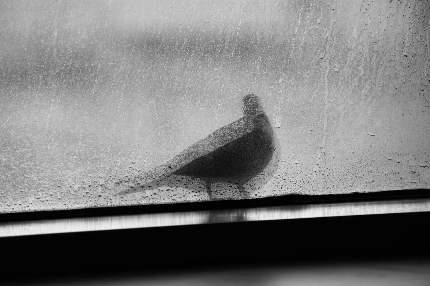 FtqnUwglgfUQjqOr82Rh1m5E6C0j