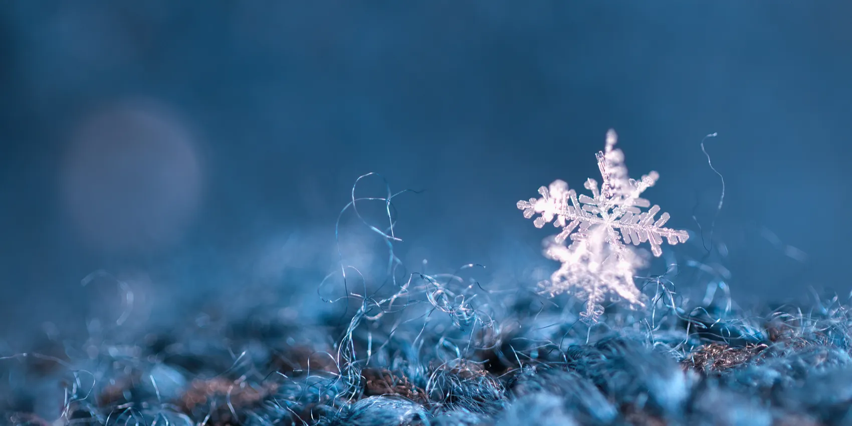 c3f8addfe84646e26d569be4f25b897e