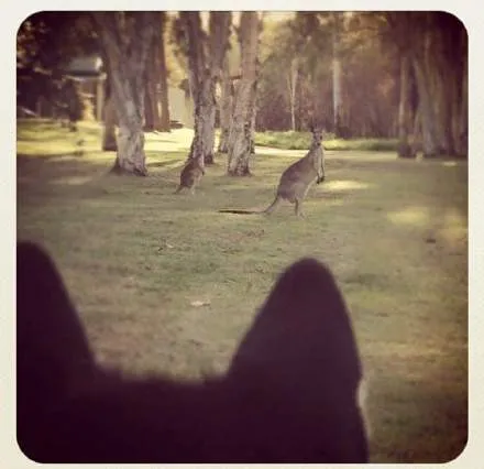 ab14f706a1a09d4283bcc5da2d56b7db