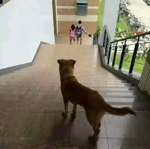 ac348a0ca3d8ee3d510dfe9f63eac97a