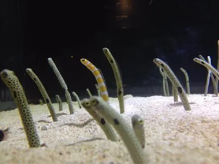 25f081e470cfa36bbf1ec983f9d3afca