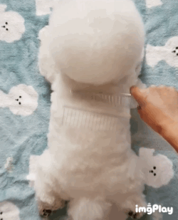 4b4cb1b0ly1fknrtiwflbg206y08lnpf