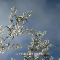 FumIh9MS-fC8868y29GPKd7HsPUH