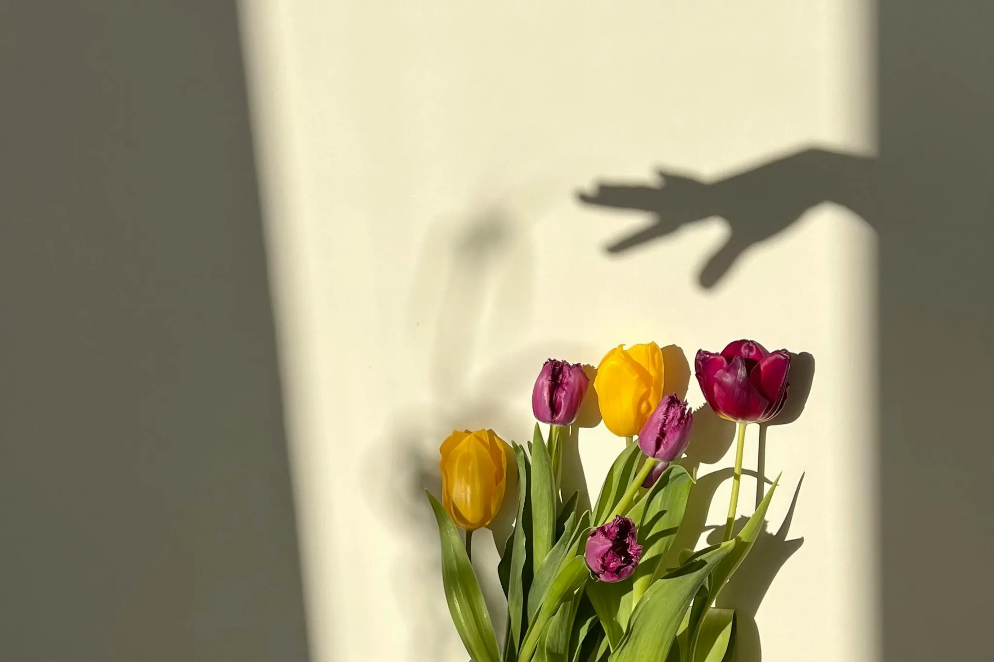 FuXWFWGEmyhsmzsXZYHiPZAJNB4T